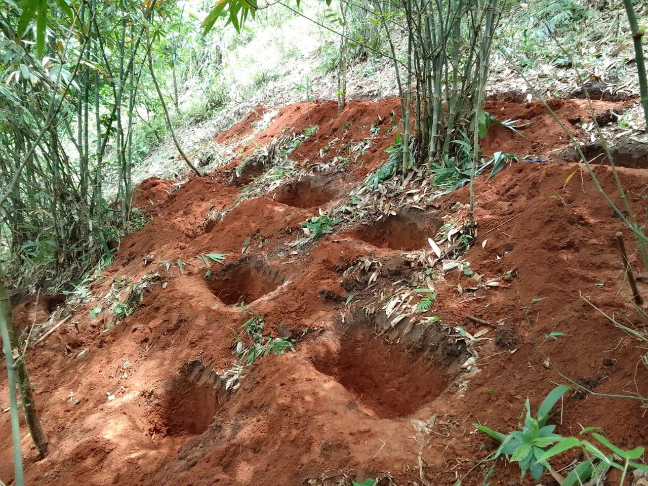 G:\Medical Leave Gordon\VILLAGE REPORT PICTURES\JIRANG BLOCK\Sohkyrbam rim\5.contour trenches\WhatsApp Image 2023-03-24 at 17.27.35.jpeg